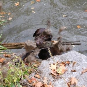 Meet your Posher, Lindi